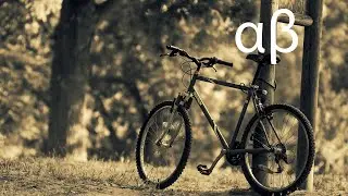 DT8 Project - Cycles
