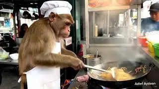 Funny Monkey Cooking Compilation 🍳🐒 | You Won&rsquo;t Believe #4!