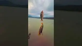 Kohat Tanda Dam in fishing 🎣🎣#kohat #travel #love #unfrezzmyaccount