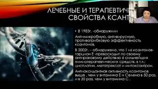 Что такое ксантогы и как они работают?