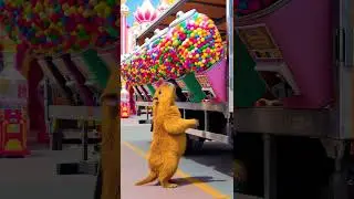 Capybara's Ultimate Gumball Cascade! (Sweet Chaos)