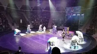 Белые Тигры в цирке имени Тезикова 08 01 2018