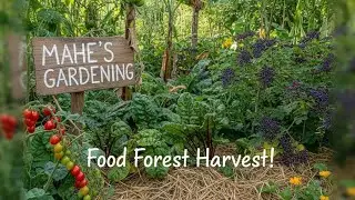 2 Years of Food Forest Growth 🌳 | Real Permaculture Farm Results #permaculture #farming #farmer