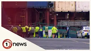 Latest death prompts call for wider inquiry into Ports of Auckland safety issues