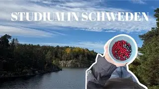 Master in Schweden | Bewerbung, Aufbau, die einzige im Master ?!