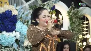 SETYO TUHU NEW SAIBA CAMPURSARI LIVE DRUJU BUNGASREJO PATI