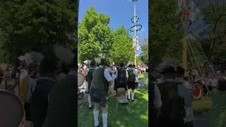 HURRAH! Finally 🌴😍😀 MAIBAUM (Maypole) Tree Tradition Standing Celebration #celebration #shorts