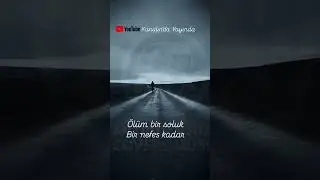 Uykum Firari | Anatolian Psychedelic Rock Cover #shorts #short #music #anadolurock