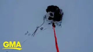 Man uses drone to help rescue a pup off a frozen lake