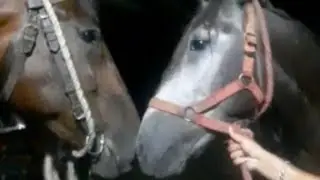 Ashal badshah Murtajiz badshah Ziarat imam bargah block Syedan /love karbala/Zuljana