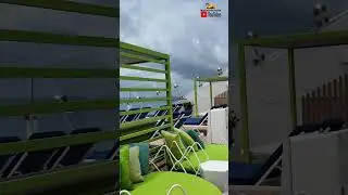Роща на &laquo;Оликарии морей&raquo;