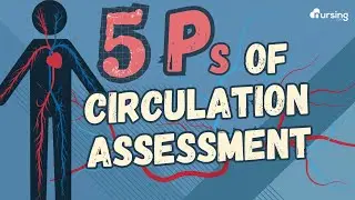 The 5 Ps of Circulation Assessments- Nursing Mnemonic