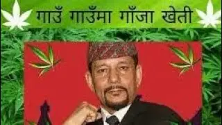 weed should be legalized in Nepal : Keshav sthapit || Keshav Sthapit speech about weed legalization.