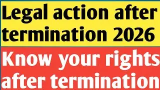 Legal Action After Termination &ndash; Know Your Rights Before It&rsquo;s Too Late | Terminated from a Company?