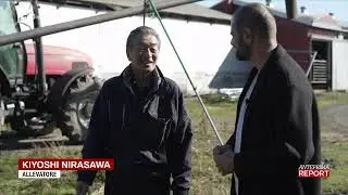 L'impiego dei microorganismi negli allevamenti - Report 28/01/2024
