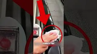 ЧТО ОБИТАЕТ НА ПОВЕРХНОСТИ ПОРОЧНЯ ЭКСКАВАТОРА?! 🤯