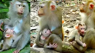 Lumi baby as,..ks mum pays attention for nursing milk more.