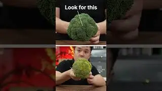 Как выбрать брокколи по цвету