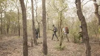 Behind the Scenes: ASFF x Wild Hope Series