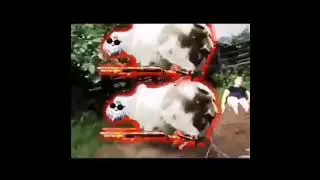 Ruok ff's cow be like.#short