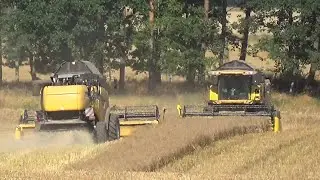 Dobrany Duet New Holland CX8030 i CX8070