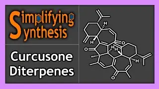 Total Synthesis of the Curcusone Diterpenes