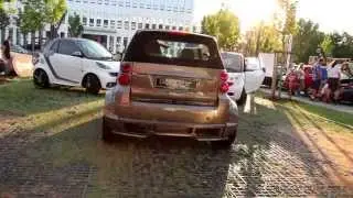 Wöhrder See smart Treffen 2014