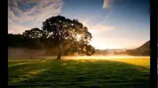 VirKoof - Beauty of silence. Композиция создана в FL Studio (Fruity Loops).