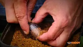 MIDDY MATCH RANGE ITALY  FISHING PASSION 02 2018