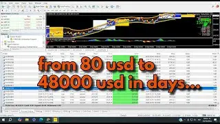 Software auto  trading ( DemeterBOT) to grow trading account from 80 usd to 48000 usd in days