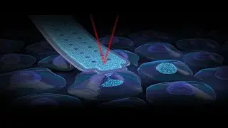 FluidFM BOT BIO Series &ndash; Single cell nano-injection into adherent cells