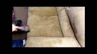 Eureka AirSpeed EXACT PET Power Paw&reg; Turbo Nozzle in action