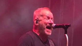 David Koller - Amerika & Černí andělé (Plzeň ČEZ Fest 2025)