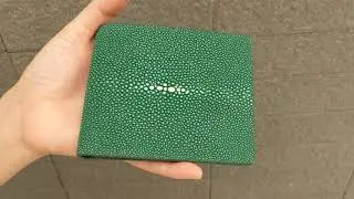 Green Polished Stingray Wallet
