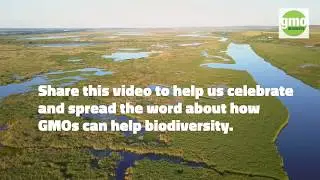 GMO & biodiversity &ndash; how can GMOs help the environment?