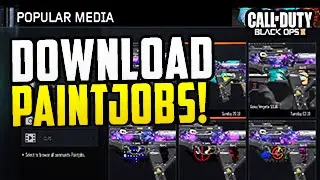 Black Ops 3 HOW TO DOWNLOAD PAINTJOBS and Emblems On Ps4, Xbox One BO3! (UPDATE,OMG,1.14)