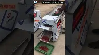chilli pepper seed remove extractor separating machine Chilli stem cutter chili cutting machine
