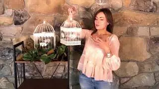 Set of2 Decorative Bird Cages