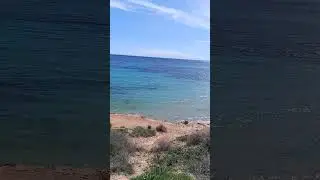 Mil Palmeres #torrevieja2025