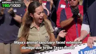 Heartwarming $50K Donation Revives Flood Damaged Wolf Sanctuary
