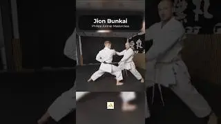 Bunkai | JION - Shotokan Kata #karate