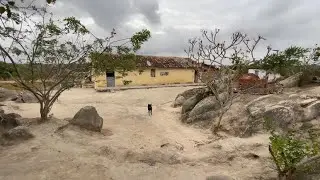 Mostrando um pouco do sitio e do casarão aqui do nordeste