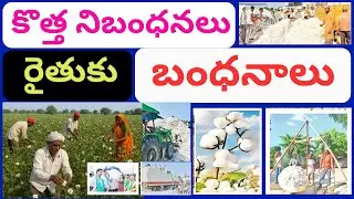 Cotton farmers facing problems due to the new rules brought by cotton corporation of india |