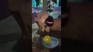 ನಮ್ಮ ಏರಿಯಾ Fun ಟೀಮ್