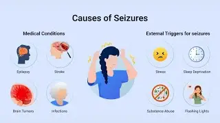What Are Seizures? (ASMR Whispering Tutor Explains)