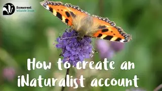 How to create an iNaturalist account (GSWC)