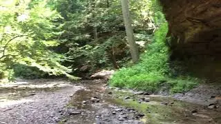 Turkey Run Trail 6