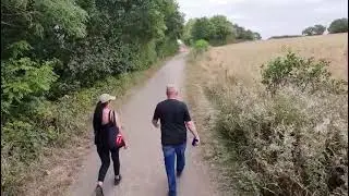 Walking stability on different surfaces. 