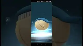 wailmer evolution in Pokemon go