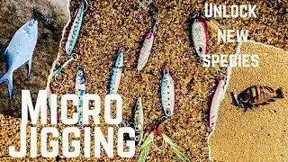 എല്ലാ മീനും കിട്ടും 👌ഈ പരിപാടി ചെയ്താൽ |Microjigging Kerala #Microjigging #inshorejigging